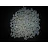 1/2 Pound of White Bubble Sea Shells, Papawera Zeland, Beach Decor Craft view 4