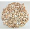 5 Pounds Medium Sea Shell Mix 1" to 2", Craft Nautical view 1