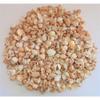 5 Pounds Medium Sea Shell Mix 1" to 2", Craft Nautical view 2