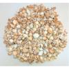 5 Pounds Medium Sea Shell Mix 1" to 2", Craft Nautical view 3