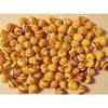 One Hundred (100) 1/2 to 1" Yellow Snail Shells with Red Stripe Craft view 1