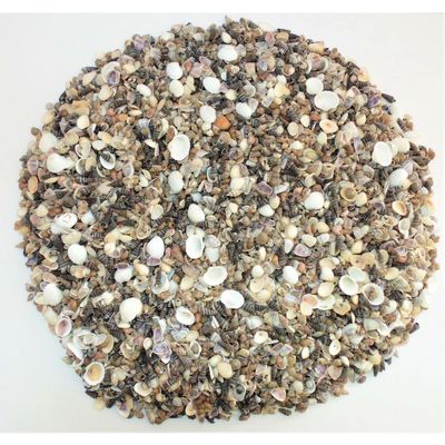 5 Pounds Extra Small Sea Shell Mix 1/4" to 1", Craft Nautical