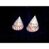 Two (2) Polished Red Trochus Sea Shells Nautical Beach Decor Tropical view 1
