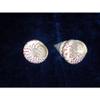 Two (2) Polished Red Trochus Sea Shells Nautical Beach Decor Tropical view 2