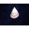 Two (2) Polished Red Trochus Sea Shells Nautical Beach Decor Tropical view 4