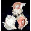 4"+ Pink Murex Sea Shell Nautical Beach Decor Nautical Tropical Reef view 2