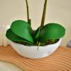 YSZL Large Artificial Potted Orchid Plant, Silk Flower Arrangement with Ceramics Vase, Purple view 3