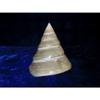 2-1/2 to 3" Pearl Trochus Niloticus Sea Shells Nautical Beach Decor Tropical view 1
