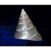 2-1/2 to 3" Pearl Trochus Niloticus Sea Shells Nautical Beach Decor Tropical view 4