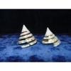 Two (2) Green Trochus Spiral Cut Tectus Pryramis Sea Shells 2-1/2" to 3" view 2