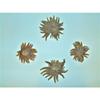3 to 4" Multi-Leg Starfish (Grade B), Sea Beach Tropical Reef Craft view 2