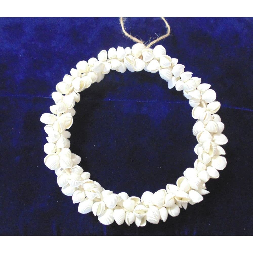 8" Real Natural Wired Wreath of Rose Clams, Beach Decor Tropical