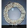 8" Real Brown Chula Sea Shell Wreath, Nautical Beach Decor Tropical view 2