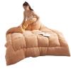 MHUQIA Soft Winter Quilt Blanket 47x59in1kg, Super Warm Lamb Quilt Winter Blanket, Lamb Velvet Blanket Quilts, Double-Sided Velvet Quilt view 1