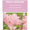 Artificial Cherry Blossom Flowers Simulated Artificial Cherry Blossom Tree - for Indoor/Outdoor/Party/Restaurant/Mall Artificial Plant 2.52m/8.26.5ft view 2