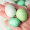 Group of 48 Cream, Green and Teal Artificial Speckled Easter Eggs by Factory Direct Craft for Easter Decorating and Spring Displays view 3