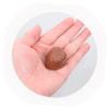 EXCEART 24 pcs Lifelike Realistic Simulated Kitchen Prop Decors Flatback Toys Coffee Food Bulk Candy Photography Model Dessert Decor Display Home Faux Milk Artificial Chocolates view 2