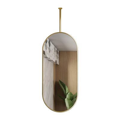 Decorative Mirrors for Wall, Oval Ceiling Hanging Mirror, Metal Frame Mirror, Bathroom Mirror Makeup Shaving Mirror with Mounted Mirror Boom, Gold (Size : 40cmx70cm)