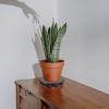 LIFKOME Wooden Crystal Display Base Round Potted Plant Stand Thickened Wood Holder for Indoor Plants Sturdy Craftsmanship for Home Retail and Floral Decor view 3