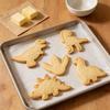 Dinosaur Cookie Cutters, 5-Piece Stainless Steel PVC Edge Set view 4