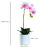 KIZQYN Artificial Flowers Silk Phalaenopsis Flower Arrangement Artificial Orchid Flowers with White Vase, Wedding Party Dining Table Centerpiece Decor,Pink Flower Decoration (Size : M) view 2