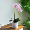 KIZQYN Artificial Flowers Silk Phalaenopsis Flower Arrangement Artificial Orchid Flowers with White Vase, Wedding Party Dining Table Centerpiece Decor,Pink Flower Decoration (Size : M) view 3
