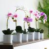 KIZQYN Artificial Flowers Silk Phalaenopsis Flower Arrangement Artificial Orchid Flowers with White Vase, Wedding Party Dining Table Centerpiece Decor,Pink Flower Decoration (Size : M) view 4