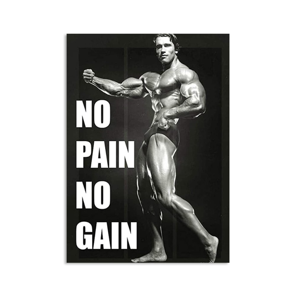 REYTOL Arnold Schwarzenegger Canvas Wall Art No Pain No Gain Inspirational Quote Posters Black And White Fitness Wall Painting Gym Home DecorNo Frame