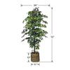 72" Green and Brown Ficus Artificial Tree in Basket view 4