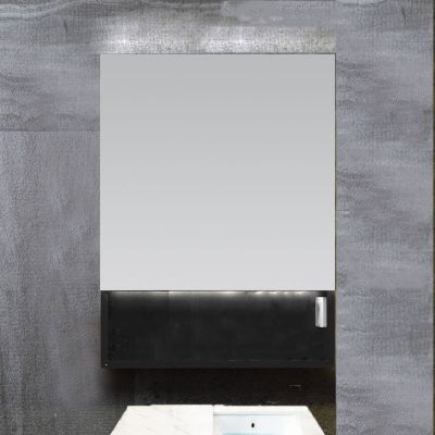 SPXMQSS Bathroom Cabinets with Lights, LED Mirror Cabinet Stepless Dimming with Shelves Cupboard Bathroom Wall Cabinets with Socket Wall Mounted Storage Units A,50 * 80 * 13cm