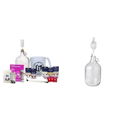 Home Brew Ohio Upgraded 1 Gallon Wine Kit with FastRack 1 gal Glass Wine Fermenter, Airlock, Stopper