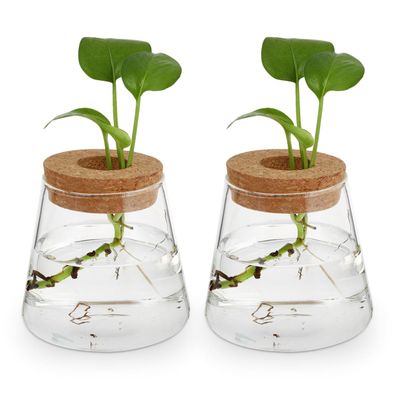 Plants Propagation Station 2Pcs Desktop Plant Terrarium Glass Hydroponic Vases Desktop Vase with Hole Lid for Home Office Table Decoration