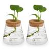 Plants Propagation Station 2Pcs Desktop Plant Terrarium Glass Hydroponic Vases Desktop Vase with Hole Lid for Home Office Table Decoration view 1