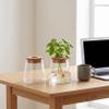 Plants Propagation Station 2Pcs Desktop Plant Terrarium Glass Hydroponic Vases Desktop Vase with Hole Lid for Home Office Table Decoration view 2