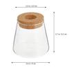 Plants Propagation Station 2Pcs Desktop Plant Terrarium Glass Hydroponic Vases Desktop Vase with Hole Lid for Home Office Table Decoration view 4