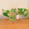 Iced Coffee Glass Cup with Bamboo Lid and Straw | 16oz Beer Can Glass | beer glass Cup | Can Shaped Glass Soda Can Cup | Irish for a day Glass Cup, Beer Glass Can, Glass Coffee Cup view 1