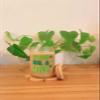 Iced Coffee Glass Cup with Bamboo Lid and Straw | 16oz Beer Can Glass | beer glass Cup | Can Shaped Glass Soda Can Cup | Irish for a day Glass Cup, Beer Glass Can, Glass Coffee Cup view 2