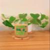 Iced Coffee Glass Cup with Bamboo Lid and Straw | 16oz Beer Can Glass | beer glass Cup | Can Shaped Glass Soda Can Cup | Irish for a day Glass Cup, Beer Glass Can, Glass Coffee Cup view 3