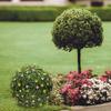 Didiseaon 5pcs Decorative Grass Ball Rack for Wedding Flower Arrangements Lightweight Easy to Assemble for Home Decor and Event Decorations view 3