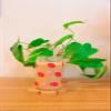 Iced Coffee Glass Cup with Bamboo Lid and Straw | 16oz Beer Can Glass | beer glass Cup | Can Shaped Glass Soda Can Cup | Heart and lips can Glass Cup, Beer Glass Can, Glass Coffee Cup view 3