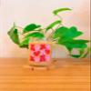 Iced Coffee Glass Cup with Bamboo Lid and Straw | 16oz Beer Can Glass | beer glass Cup | Can Shaped Glass Soda Can Cup | Xoxo can Glass Cup, Beer Glass Can, Glass Coffee Cup view 3