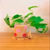 Iced Coffee Glass Cup with Bamboo Lid and Straw | 16oz Beer Can Glass | beer glass Cup | Can Shaped Glass Soda Can Cup | Retro flowers pink and red Glass Cup, Beer Glass Can, Glass Coffee Cup view 2