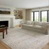 Loloi Kamala Collection KAM-05 Grey/Multi 5'-3" x 7'-9" Area Rug view 1