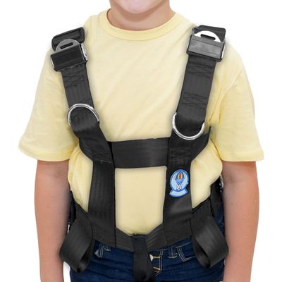 EZ-ON Products MAXPV Houdini Proof Durable Personal Vehicle User-Friendly Safety Transportation Vest with Seat Belt Loops and Mount. Meets NHTSA Regulation. (Black, Large)