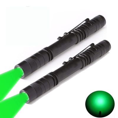 2 x Green Light Pen Type Penlight Flashlight One Mode Green Light LED Torch