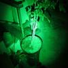 2 x Green Light Pen Type Penlight Flashlight One Mode Green Light LED Torch view 3