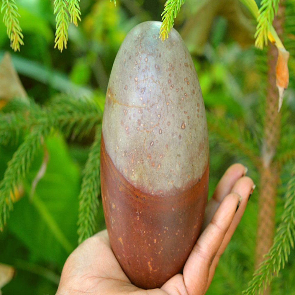 5" Narmadeshwar Shiva Lingam is The holy Symbol of Union of Lord Shiva Hinduism Religious Gift/Temple Decor/Idols for Living Room & Pooja Room- 035