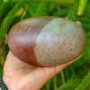 5" Narmadeshwar Shiva Lingam is The holy Symbol of Union of Lord Shiva Hinduism Religious Gift/Temple Decor/Idols for Living Room & Pooja Room- 035 view 4