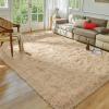 Softlife Beige Area Rug for Bedroom, Fluffy Shag Plush Rugs for Living Room Girls, Shaggy Throw Soft Fuzzy Small Kids Carpet for Dorm Bedside Ultra Cozy Non-Slip Indoor Decor, 4x5.3 Feet view 1