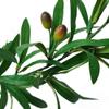 6 Ft Artificial Olive Leaf Garland,2 PCS Faux Olive Branch Greenery Garland with Fruit for Home Garden Office Wedding Decorations view 3